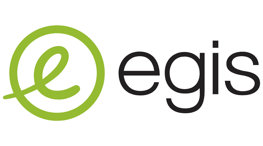 BS Engineering collaborateur d'Egis